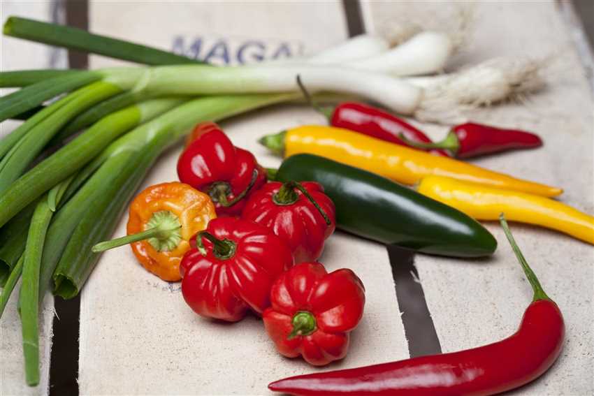 Chili & Paprika Gemüse des Jahres 2015/16 Der Holländer Pflanzencenter