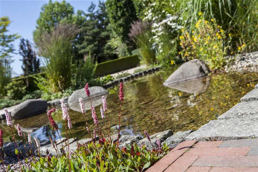 Der Wassergarten Harmonie und Bewegung zugleich Der Holländer