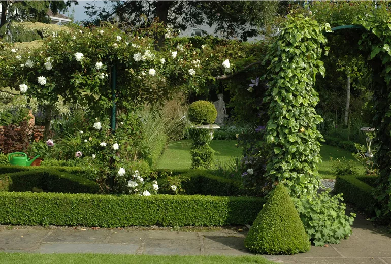 Pergolen mit Kletterpflanzen