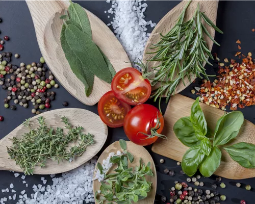 Küchenkräuter schmecken frisch von der Fensterbank am besten