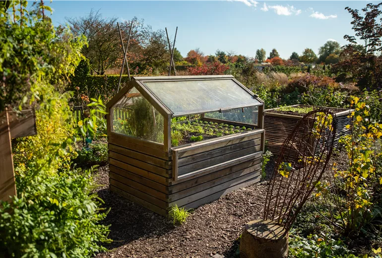 Gemüsegarten mit Hochbeet