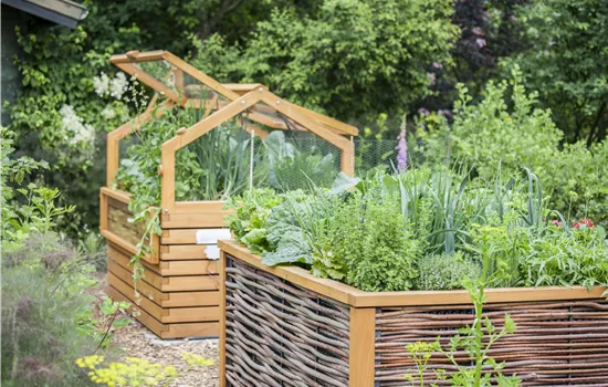 Pflanzplan im Hochbeet: Tipps für eine erfolgreiche Bepflanzung