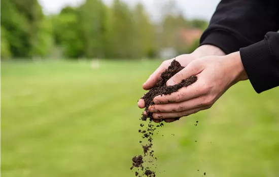 Der Gartenboden: Bodenarten und was sie bedeuten Der Gartenboden: Bodenarten und was sie bedeuten