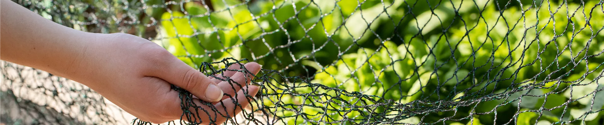 Pflanzenschutznetz