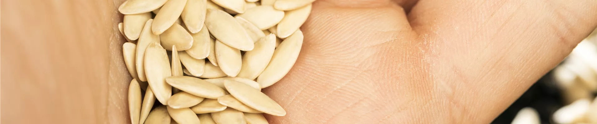 Samen auf Handfläche