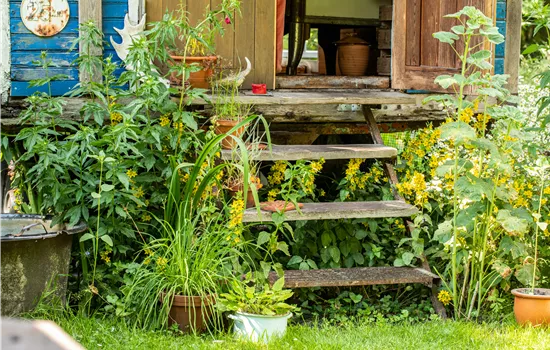 Nachhaltig gärtnern mit unseren 10 Tipps Nachhaltig gärtnern mit unseren 10 Tipps