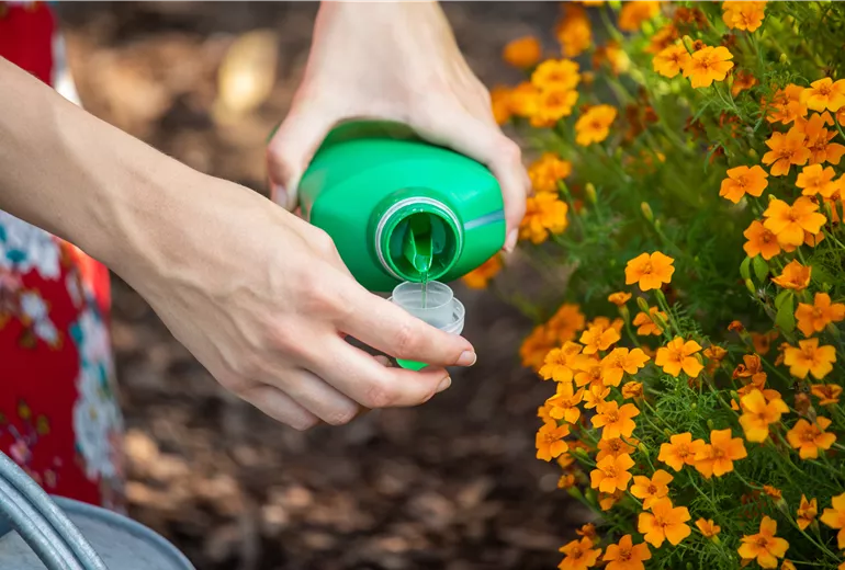 Dünger - Universaldünger