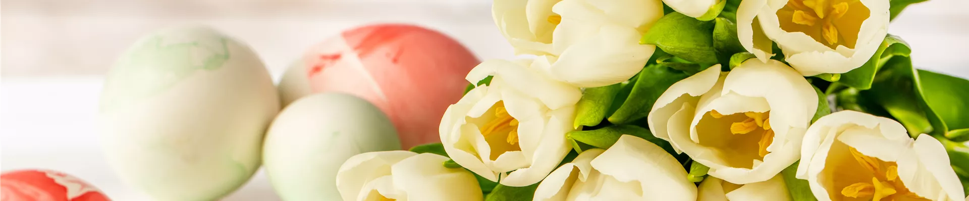 Ostern - Tulpen Ostern - Tulpen