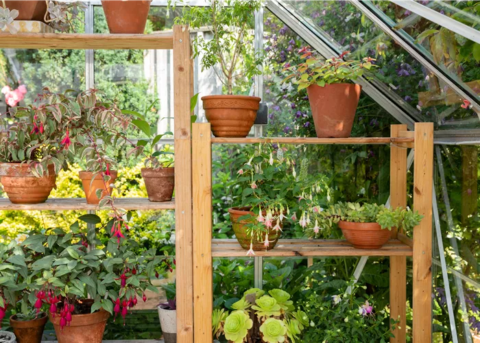 Balkongewächshaus - Gärtnern auf kleinstem Raum