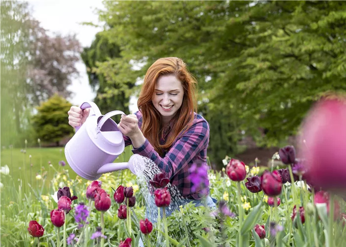 Gartenarbeit im Mai: Den Frühling voll auskosten