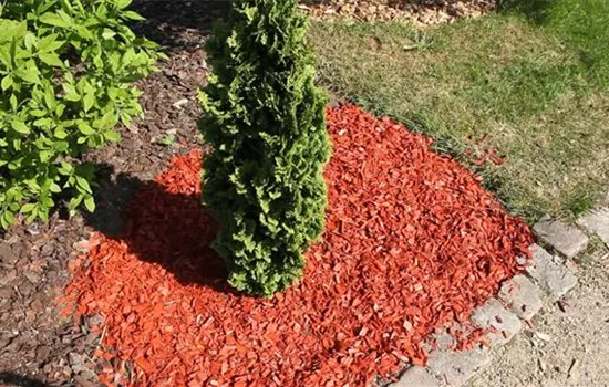 Mulch - Einsatz im Garten Mulch - Einsatz im Garten