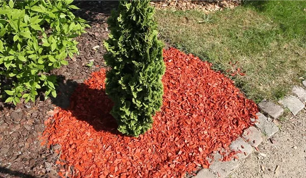 Mulch - Einsatz im Garten
