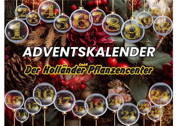 Der Holländer Adventskalender 2025