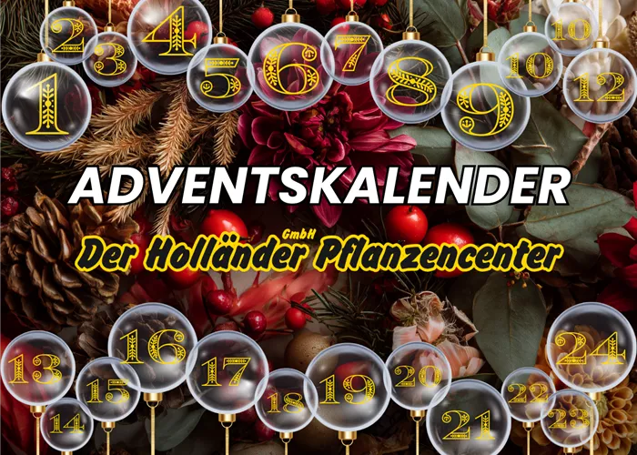 Der Holländer Adventskalender 2025