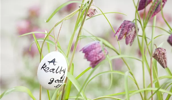 Der Garten für den Osterhasen – ein Frühlingsparadies! Der Garten für den Osterhasen – ein Frühlingsparadies!