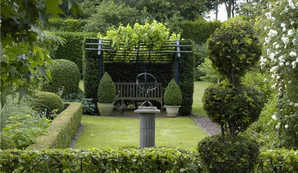 Auf die Form gekommen – Formgehölze im Garten Auf die Form gekommen – Formgehölze im Garten