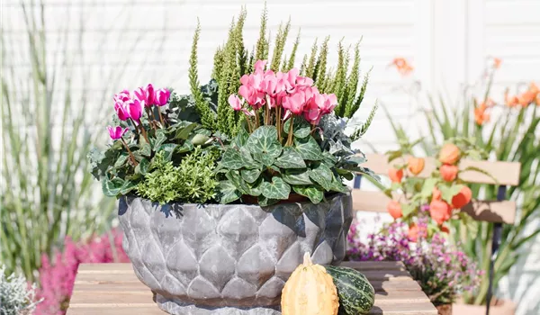 Aus alt mach neu: Blumenkübel nicht wegwerfen! Aus alt mach neu: Blumenkübel nicht wegwerfen!