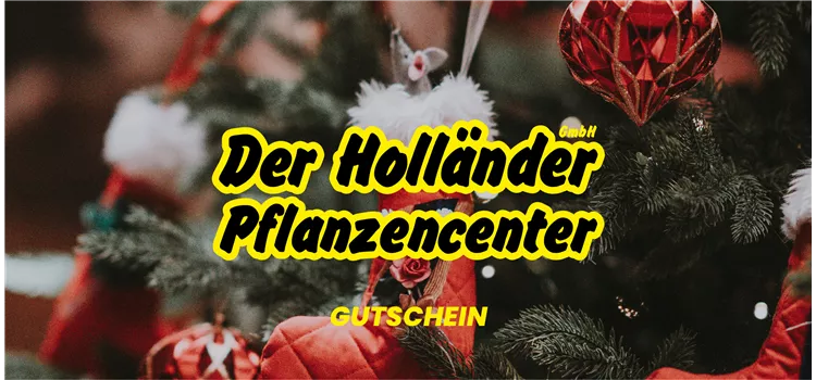 Geschenkgutschein "Frohe Weihnachten"