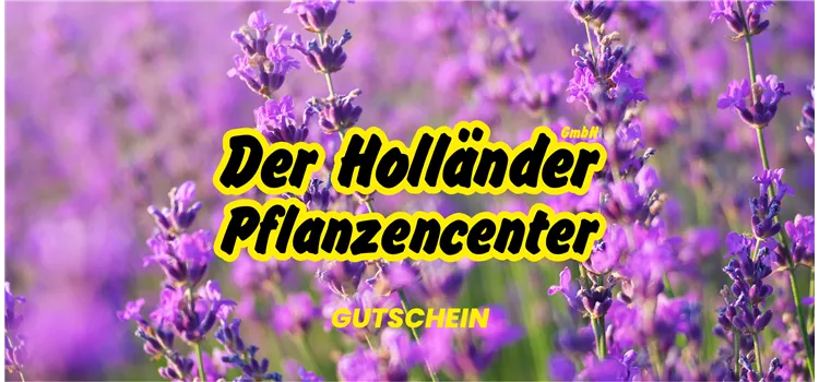 Geschenkgutschein "Für jeden Anlass"