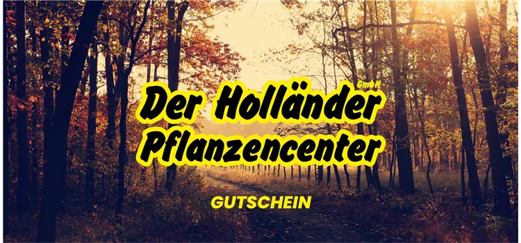 Geschenkgutschein "Herbstzauber"