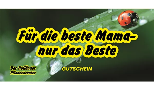 Geschenkgutschein "Für die beste Mama"