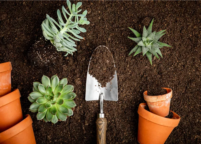 Produkte & Dienstleistungen