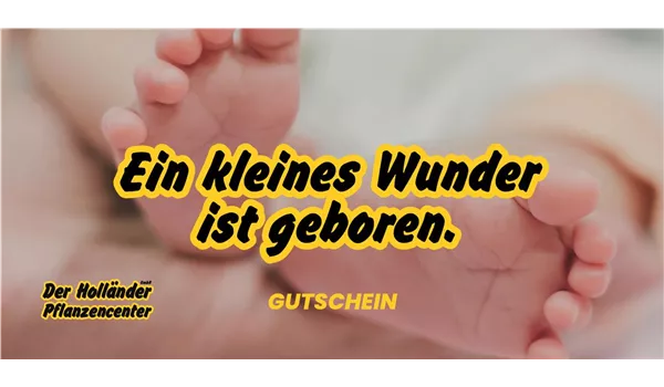 Geschenkgutschein "Zur Geburt eures Babys"