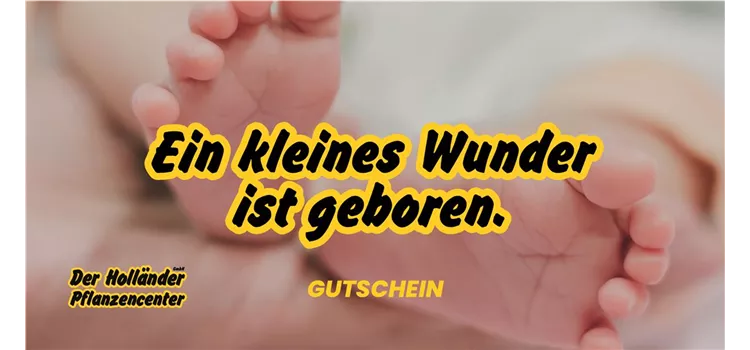 Geschenkgutschein "Zur Geburt eures Babys"