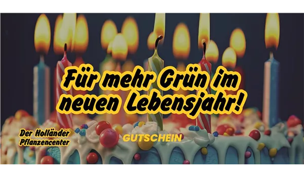 Geschenkgutschein "Alles gute zum Geburtstag"