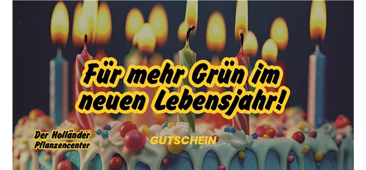 Geschenkgutschein "Alles gute zum Geburtstag"